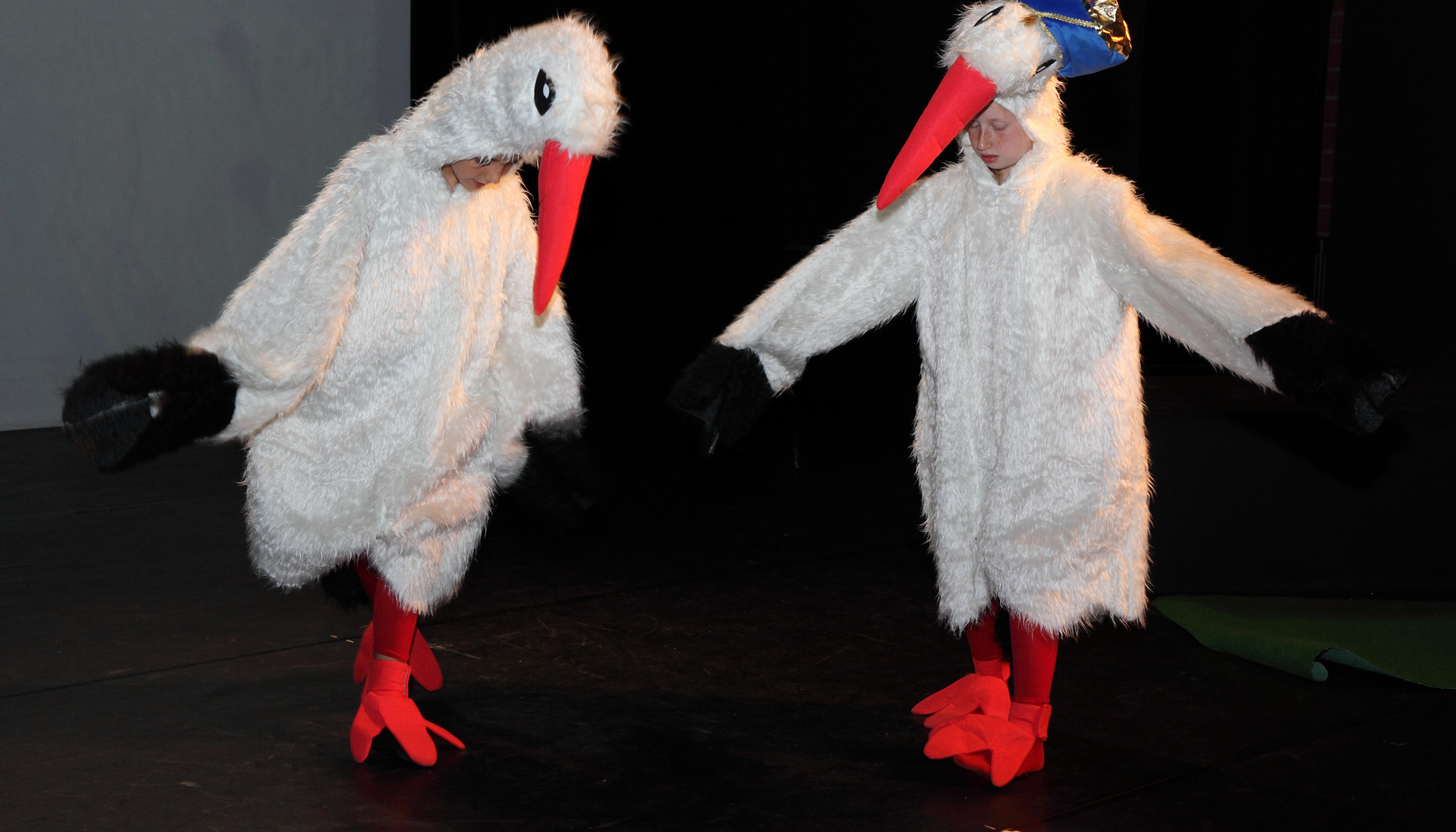 43 für immer ein Storch bleiben